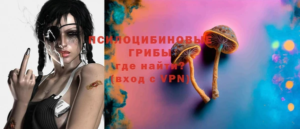гашик Кодинск