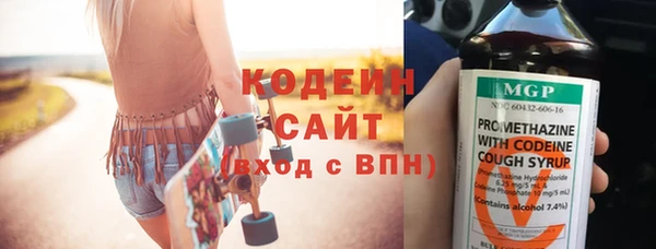 гашик Кодинск