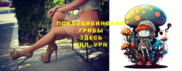 спиды Козловка